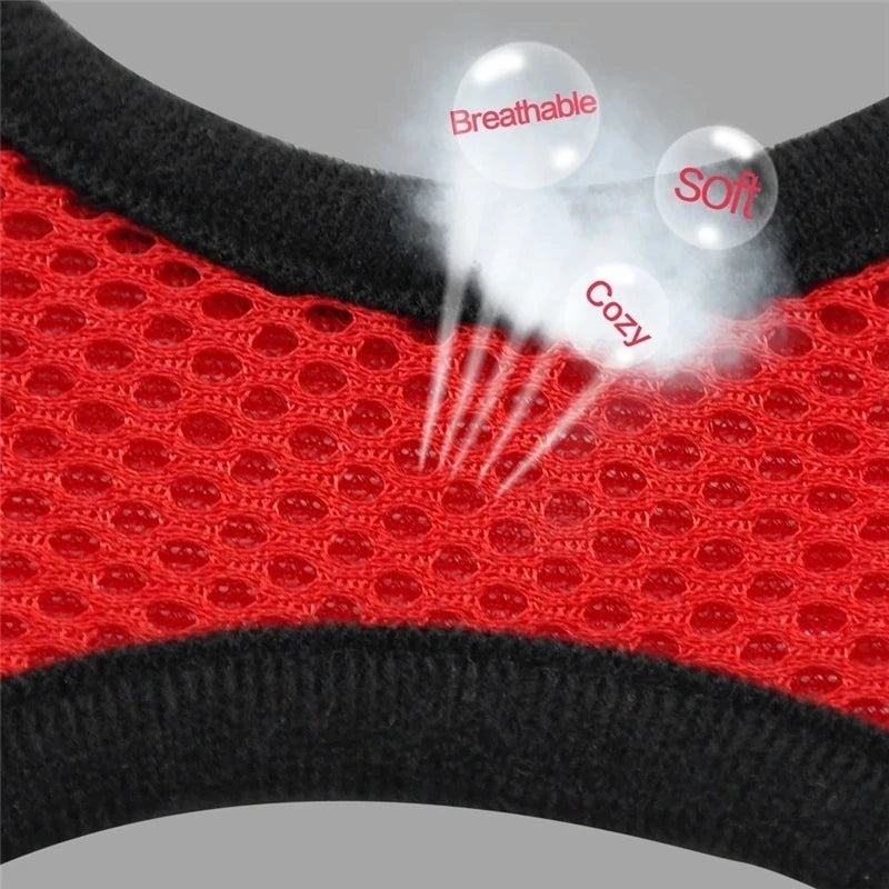 Adjustable Mesh Pet Harness & Leash Set for Small Dogs & Cats