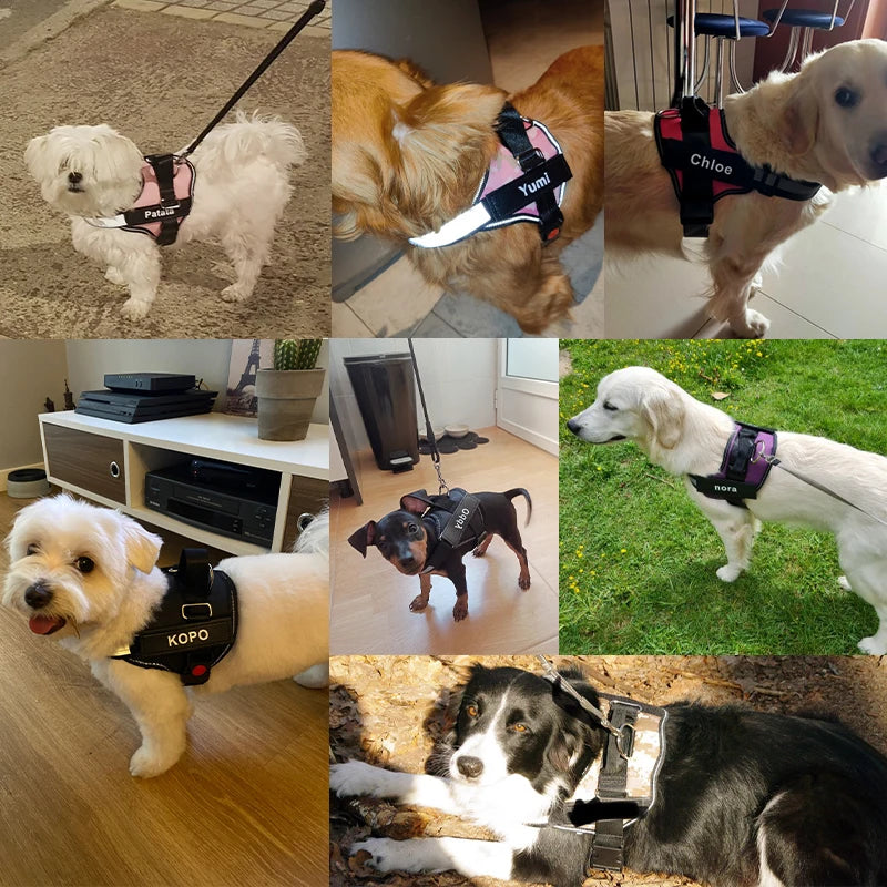 Custom No-Pull Reflective Dog Harness with Personalized Patch