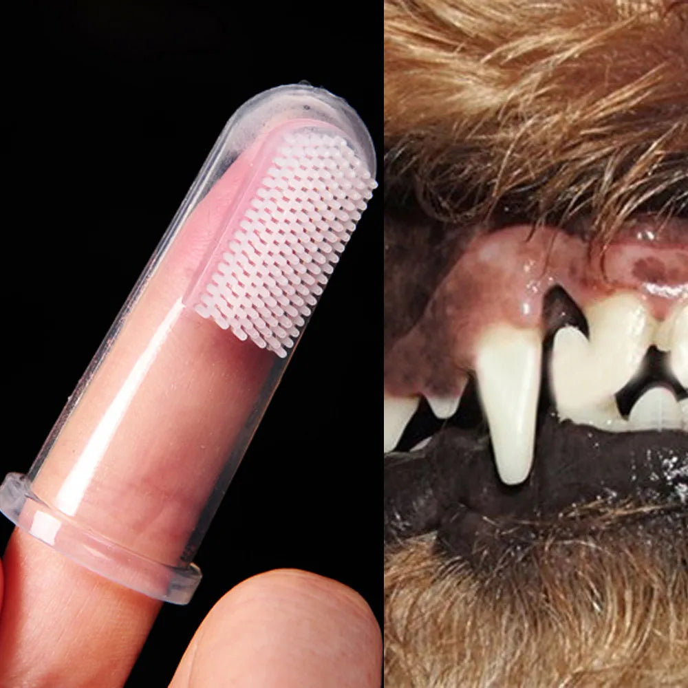 Soft Silicone Finger Toothbrush for Medium Dogs