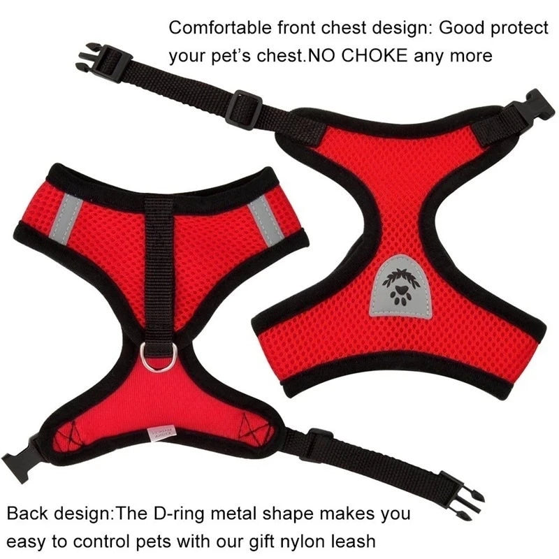 Adjustable Mesh Pet Harness & Leash Set for Small Dogs & Cats