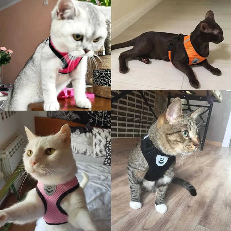 Adjustable Mesh Pet Harness & Leash Set for Small Dogs & Cats