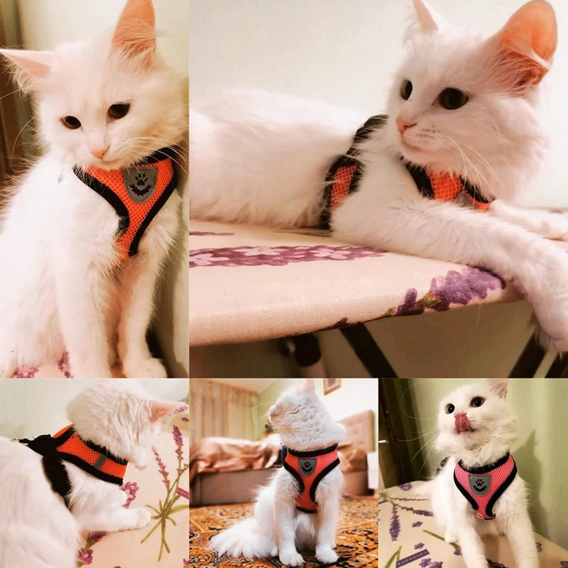 Adjustable Mesh Pet Harness & Leash Set for Small Dogs & Cats