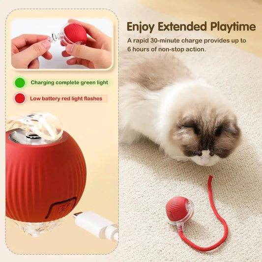 Smart Rechargeable Cat Toy Ball with Moving Tail and Auto Rolling