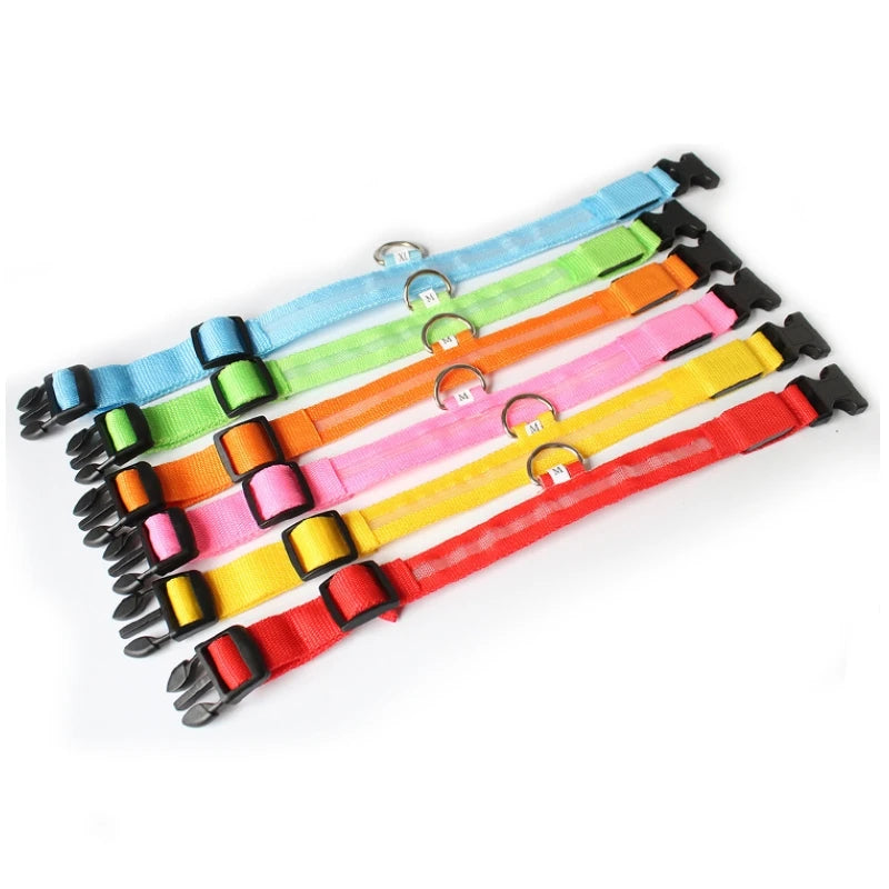 LED Anti-Lost Dog Collar Light – Rechargeable Night Safety Accessory