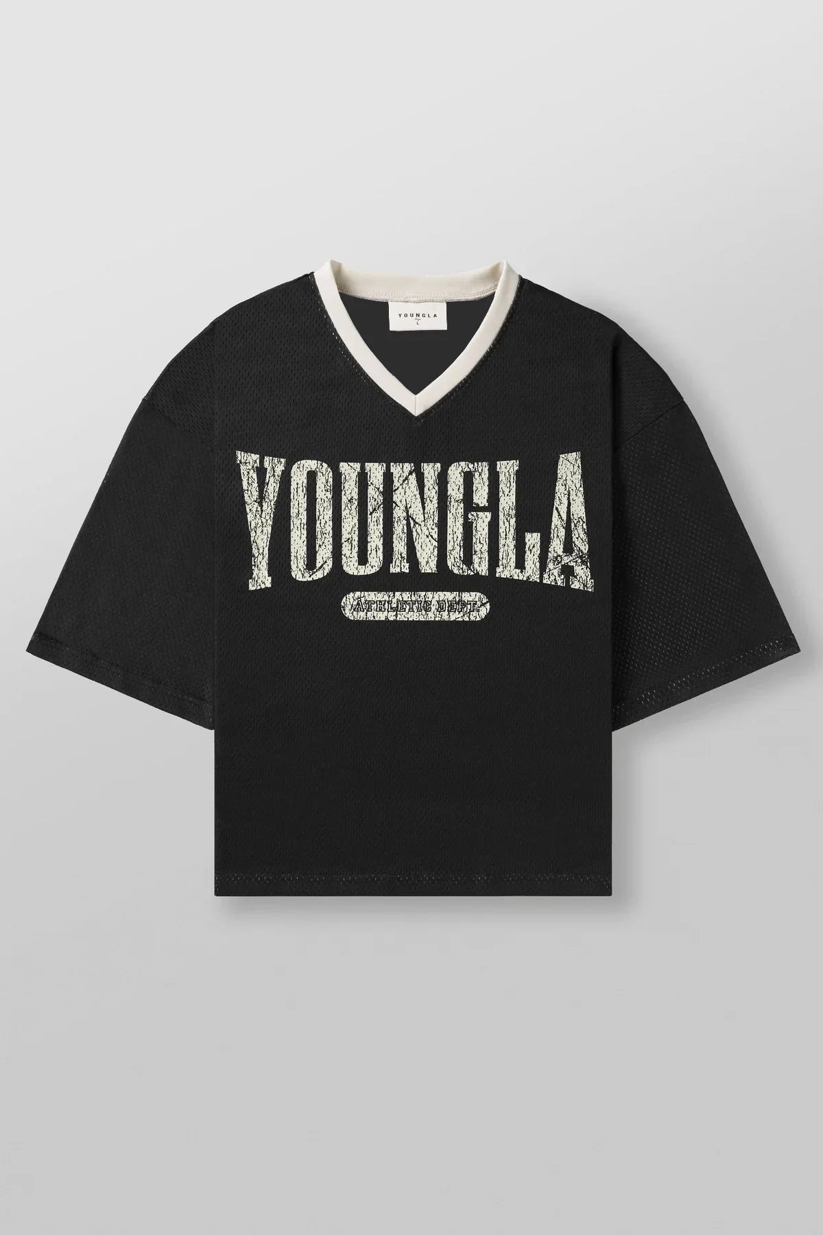 Men's Summer Mesh Quick-Dry Sports Tee