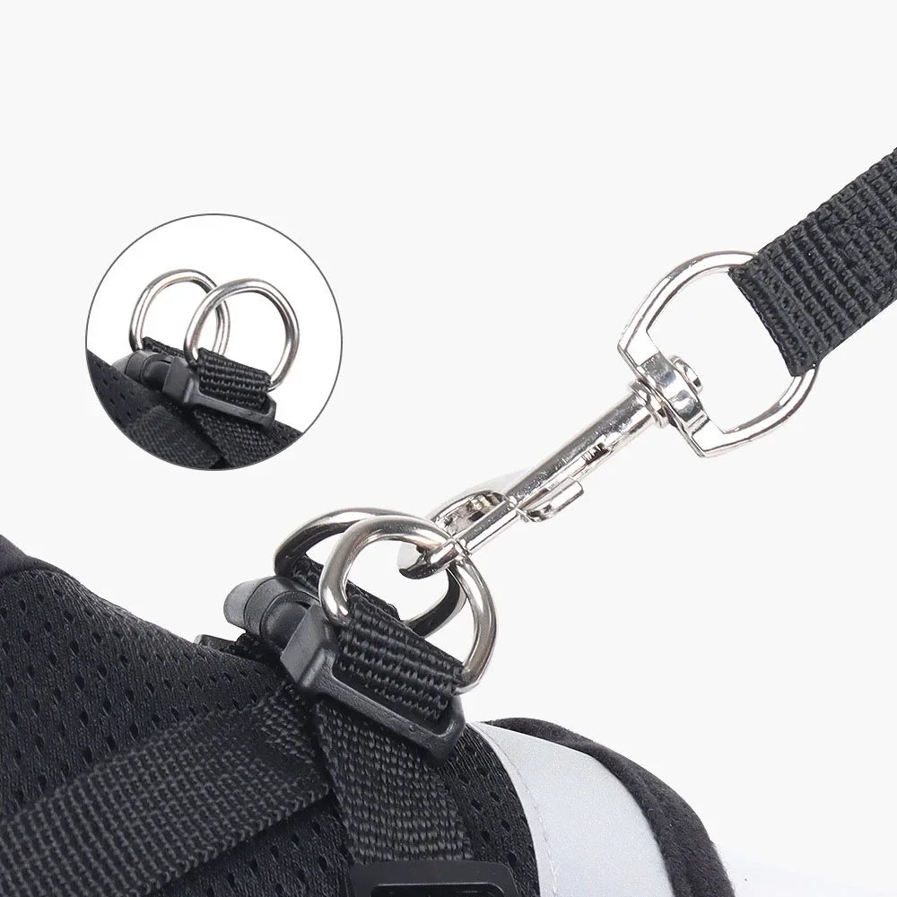 Reflective Escape-Proof Cat & Small Dog Harness Set