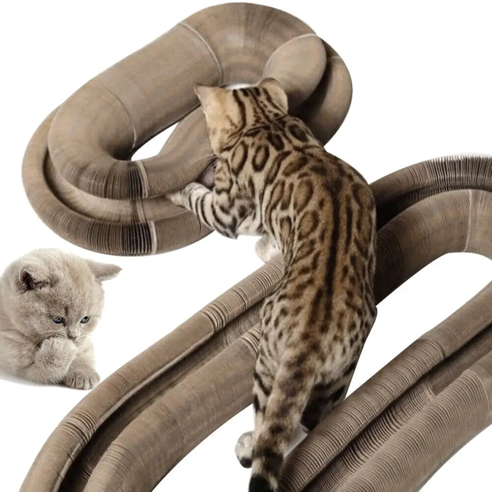 Magic Foldable Cat Scratcher & Bed - Interactive & Durable Pet Toy