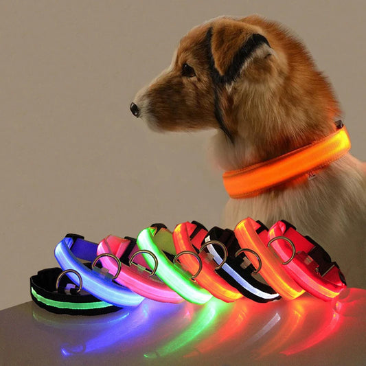 LED Anti-Lost Dog Collar Light – Rechargeable Night Safety Accessory