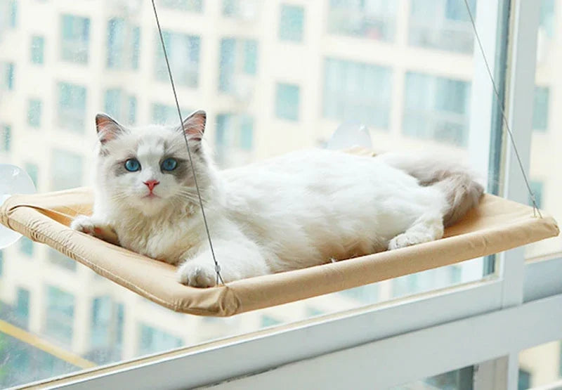 Heavy-Duty Window Cat Hammock | 20KG Capacity Sunlit Hanging Bed