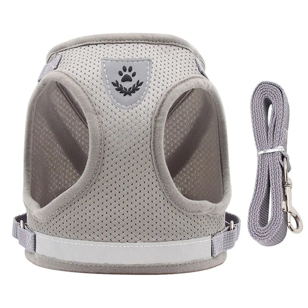 Reflective Escape-Proof Cat & Small Dog Harness Set