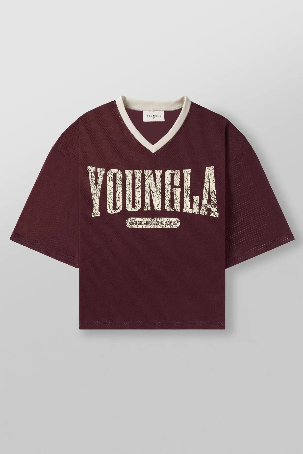 Men's Summer Mesh Quick-Dry Sports Tee
