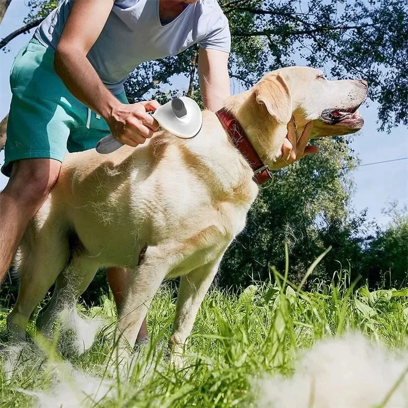 Self-Cleaning Pet Hair Remover Brush