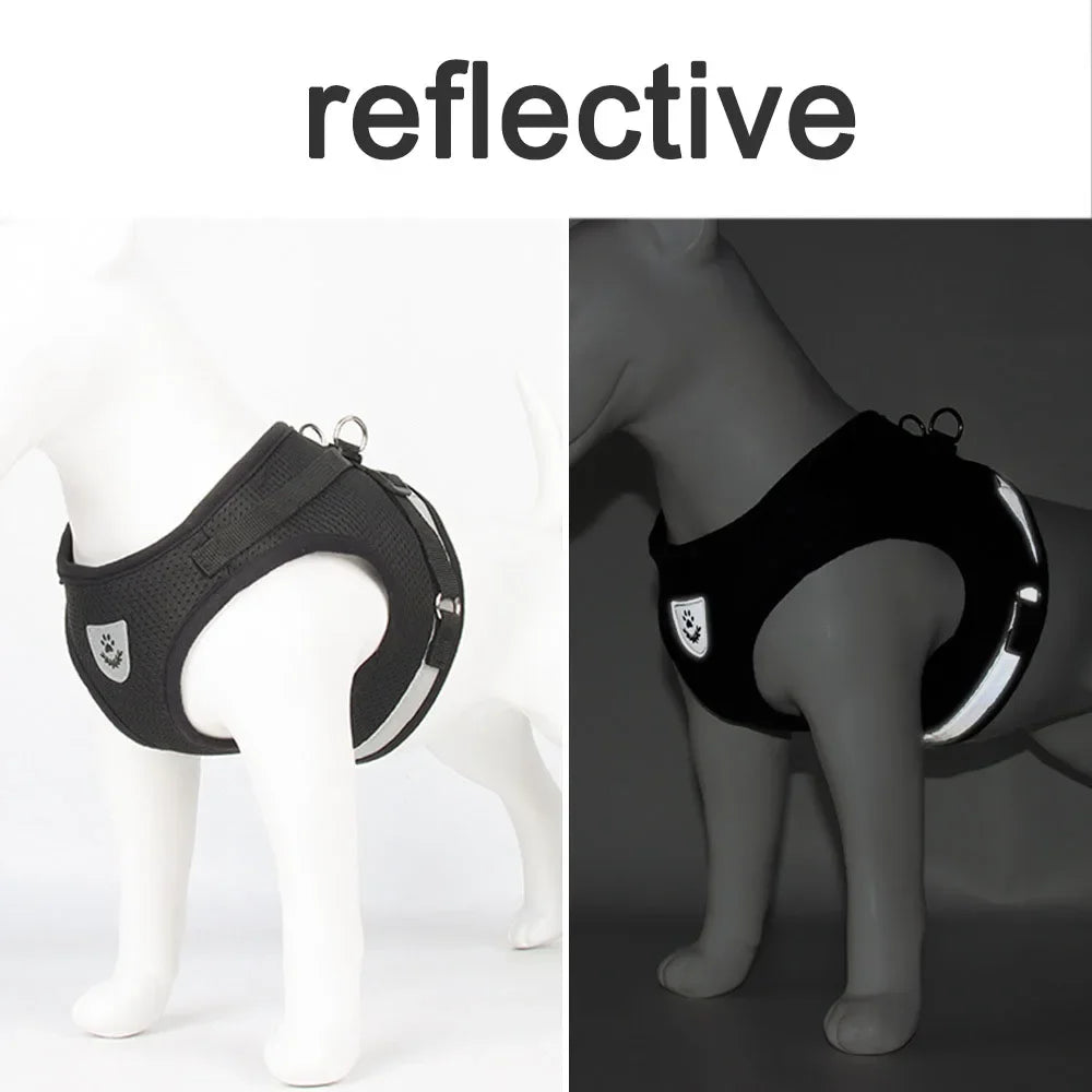 Reflective Escape-Proof Cat & Small Dog Harness Set