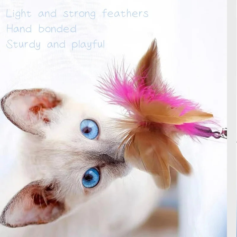Interactive Feather Teaser Wand with Bell for Cats