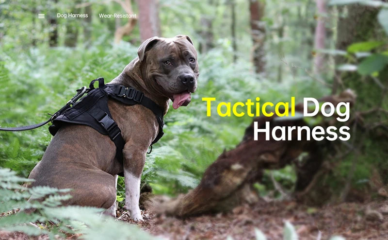 K9 Tactical Military Dog Vest and Leash Set