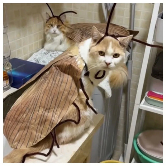Funny Cat Cosplay Cockroach Costume DIY Handmade Pet Outfit Prop
