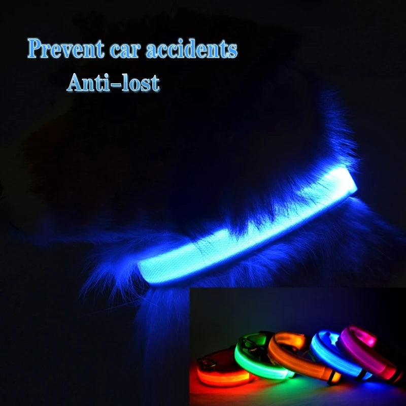 LED Anti-Lost Dog Collar Light – Rechargeable Night Safety Accessory