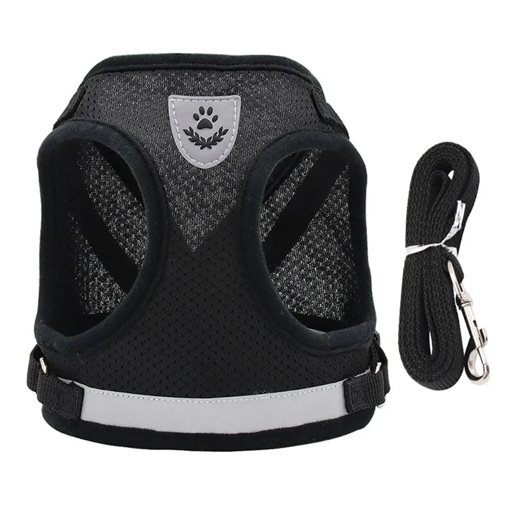 Reflective Escape-Proof Cat & Small Dog Harness Set