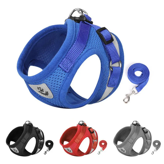 Reflective Escape-Proof Cat & Small Dog Harness Set