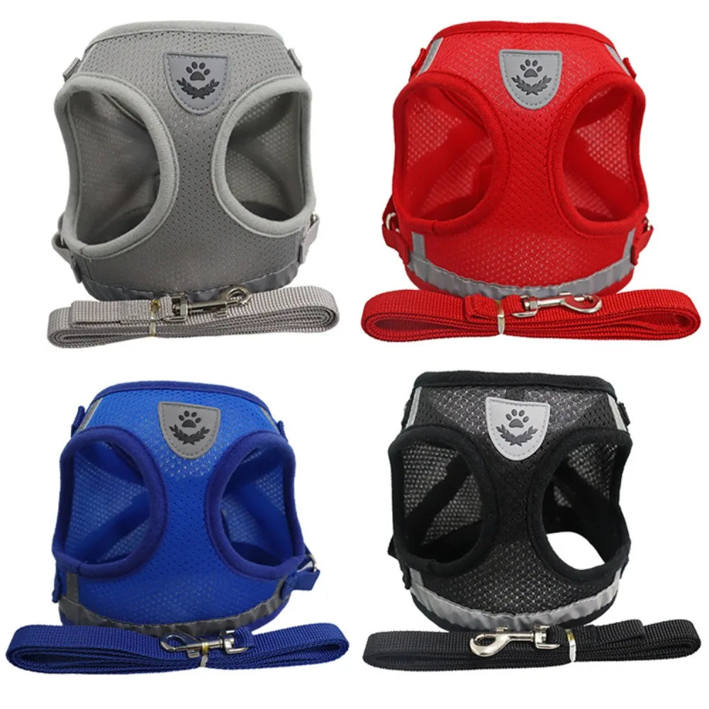 Reflective Escape-Proof Cat & Small Dog Harness Set