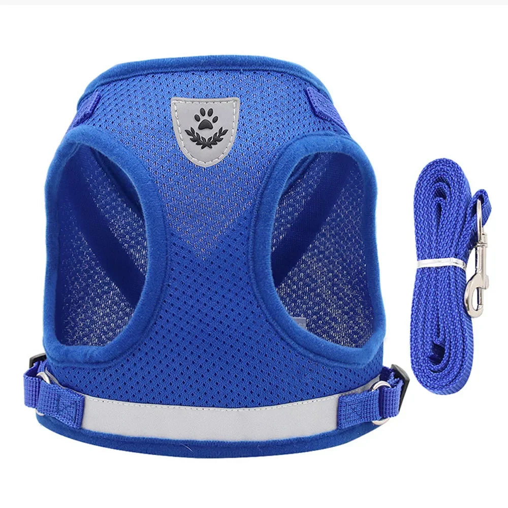 Reflective Escape-Proof Cat & Small Dog Harness Set