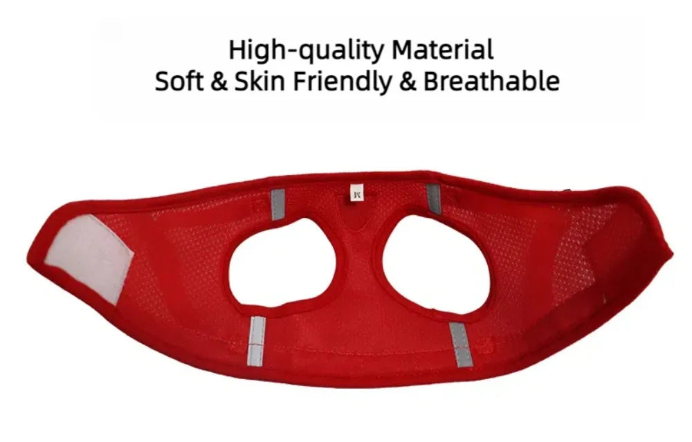 Reflective Escape-Proof Cat & Small Dog Harness Set