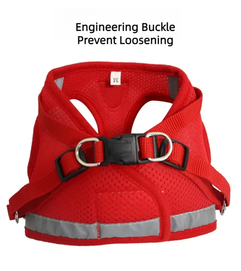 Reflective Escape-Proof Cat & Small Dog Harness Set