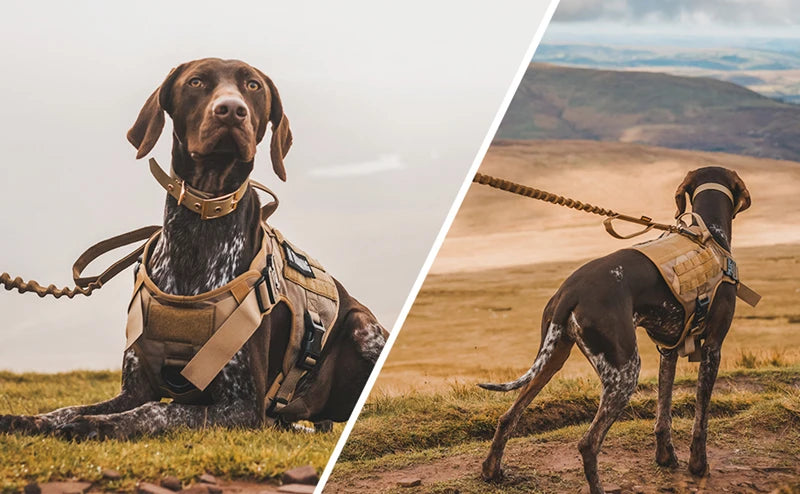 K9 Tactical Military Dog Vest and Leash Set