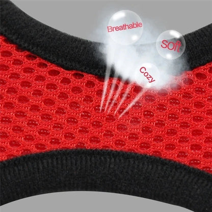Adjustable Mesh Pet Harness & Leash Set for Small Dogs & Cats