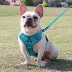 Adjustable Reflective No-Pull Dog Harness & Leash Set for Small Pets