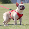 Adjustable Reflective No-Pull Dog Harness & Leash Set for Small Pets