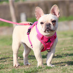 Adjustable Reflective No-Pull Dog Harness & Leash Set for Small Pets