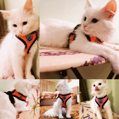 Adjustable Mesh Pet Harness & Leash Set for Small Dogs & Cats