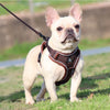 Adjustable Reflective No-Pull Dog Harness & Leash Set for Small Pets