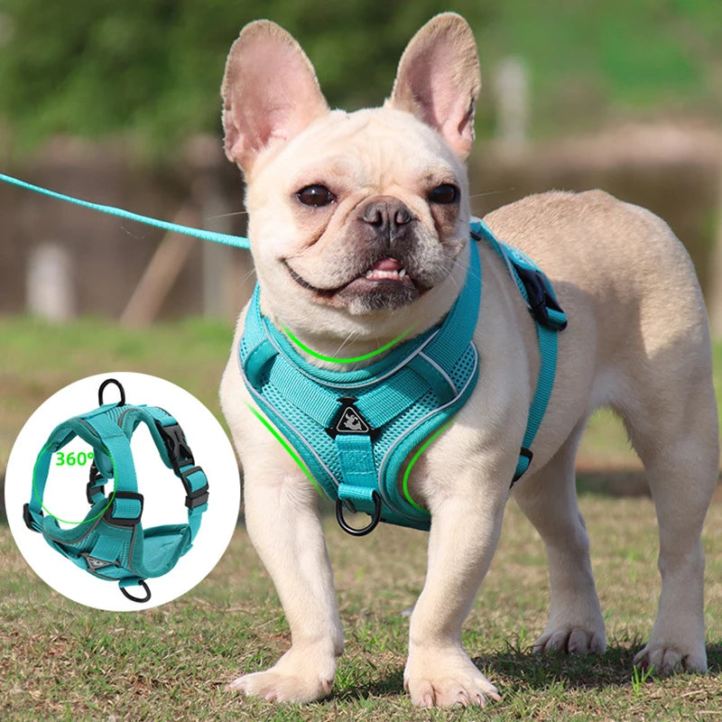 Adjustable Reflective No-Pull Dog Harness & Leash Set for Small Pets