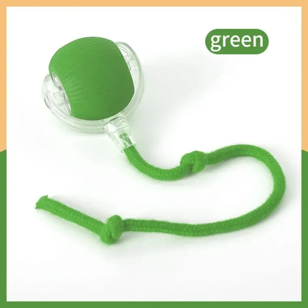 Smart Rechargeable Cat Toy Ball with Moving Tail and Auto Rolling