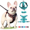 Adjustable Reflective No-Pull Dog Harness & Leash Set for Small Pets