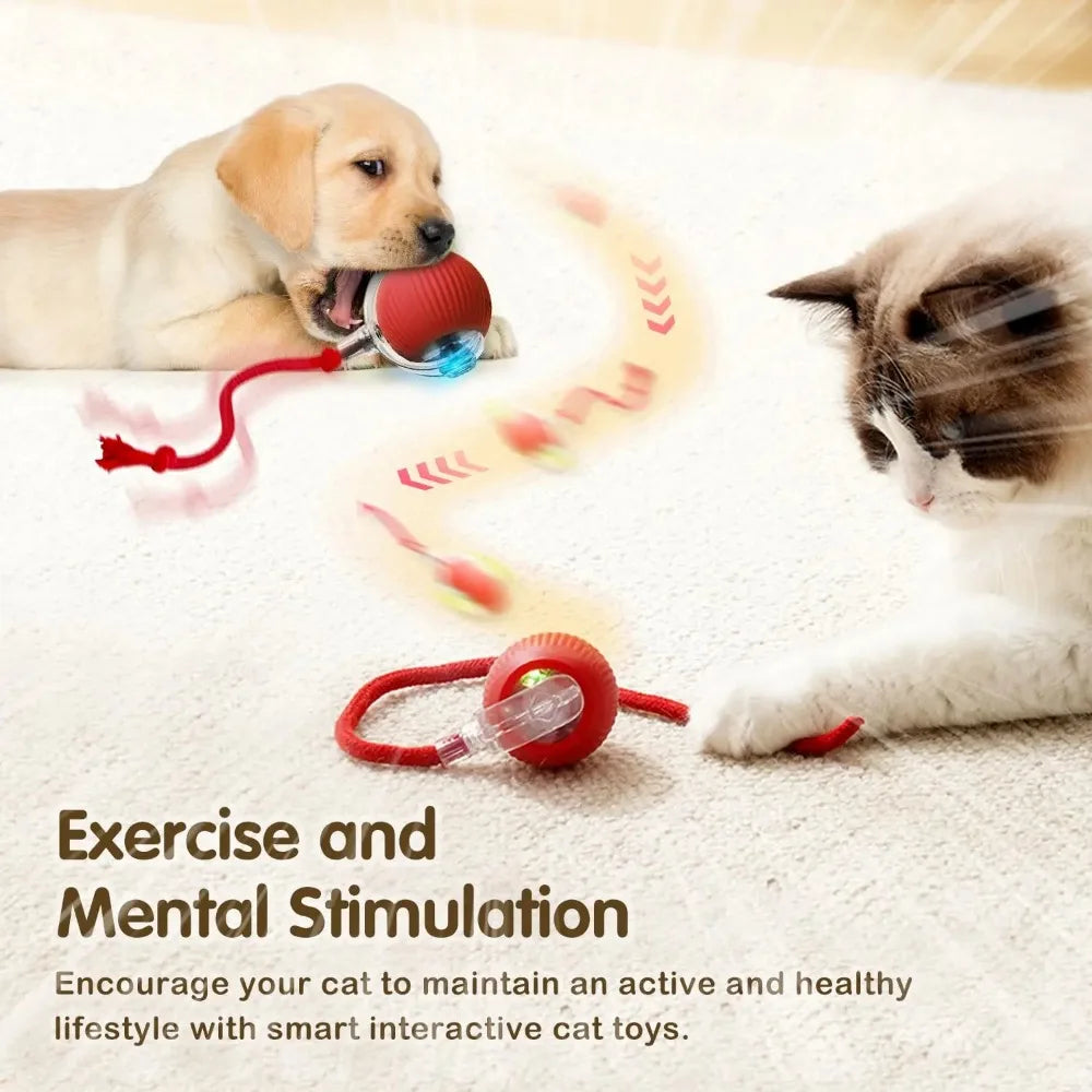 Smart Rechargeable Cat Toy Ball with Moving Tail and Auto Rolling