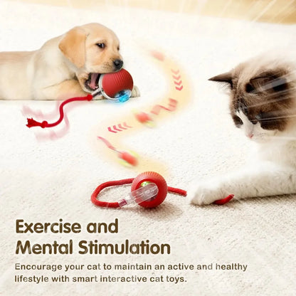 Smart Rechargeable Cat Toy Ball with Moving Tail and Auto Rolling