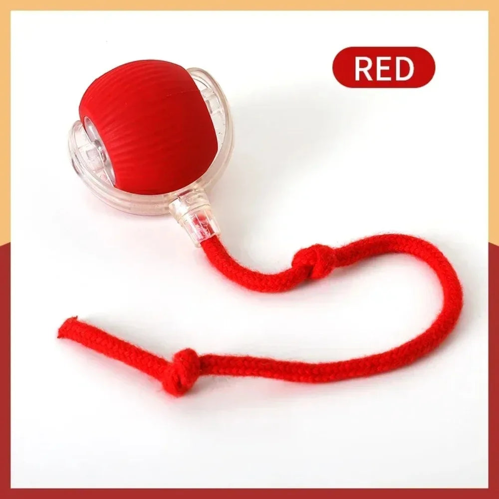 Smart Rechargeable Cat Toy Ball with Moving Tail and Auto Rolling