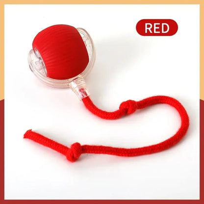 Smart Rechargeable Cat Toy Ball with Moving Tail and Auto Rolling