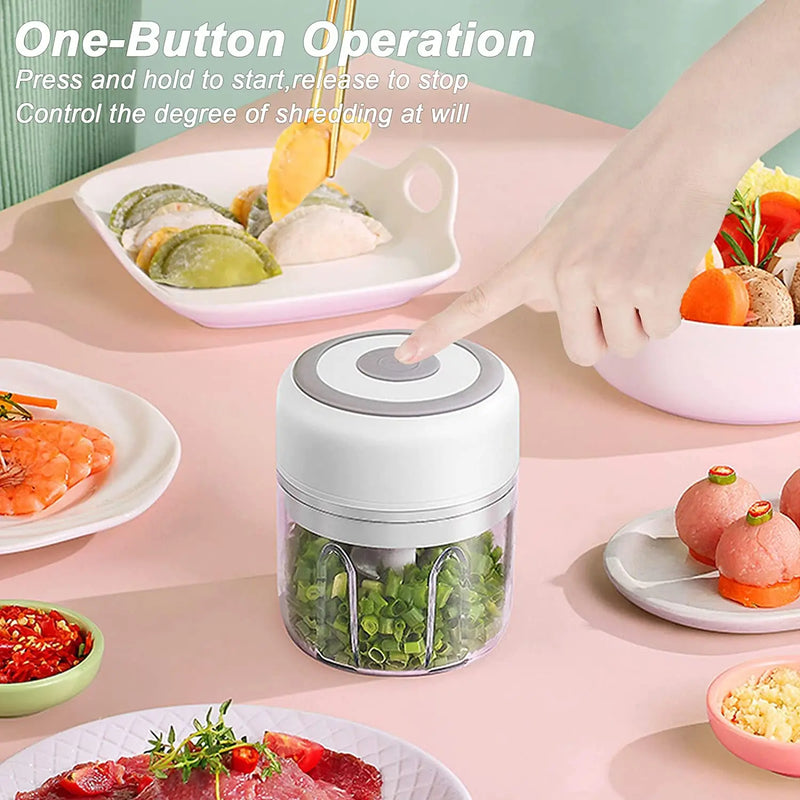 Compact USB Mini Food Chopper & Garlic Masher