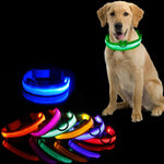 LED Anti-Lost Dog Collar Light – Rechargeable Night Safety Accessory
