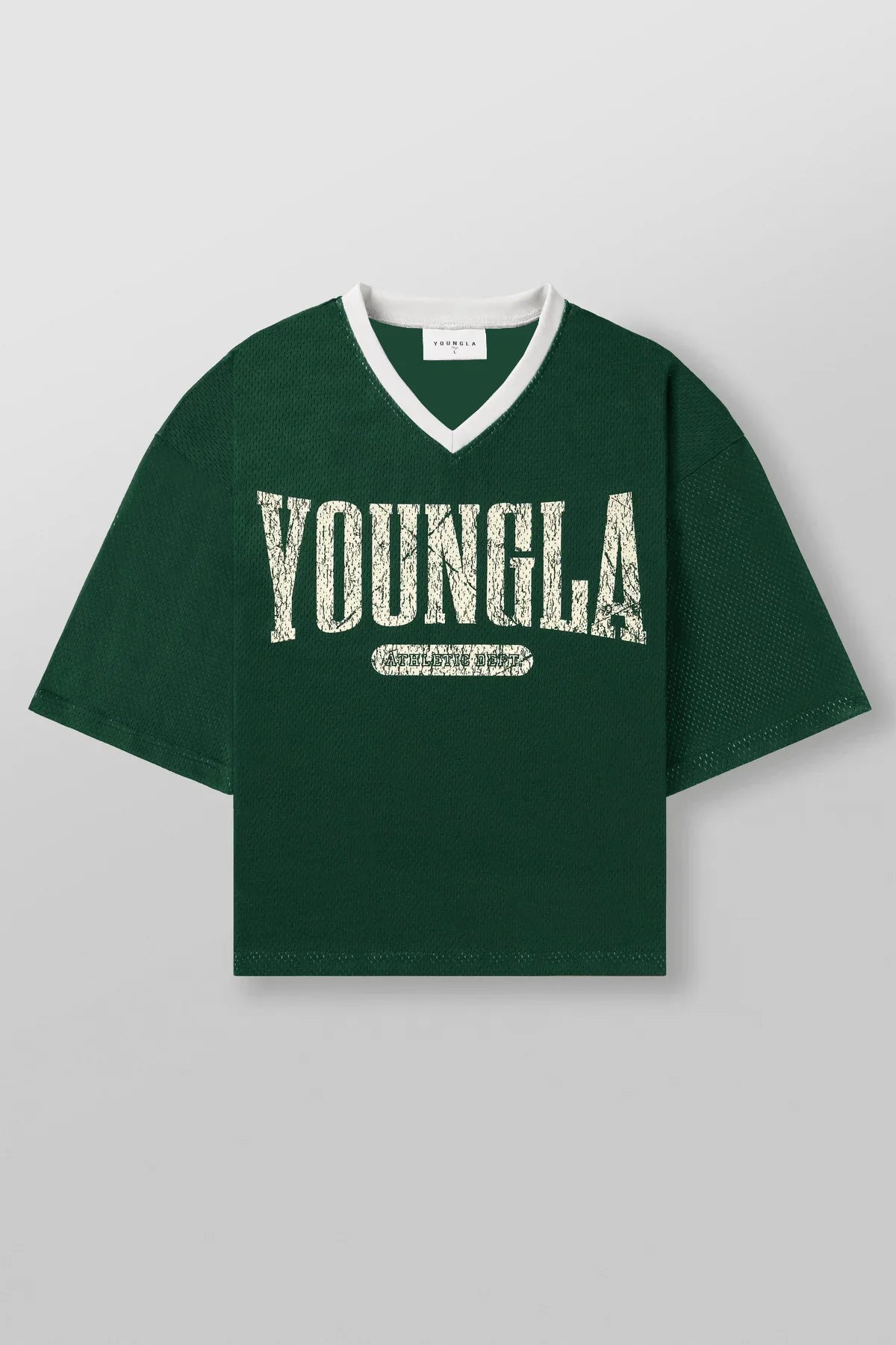 Men's Summer Mesh Quick-Dry Sports Tee