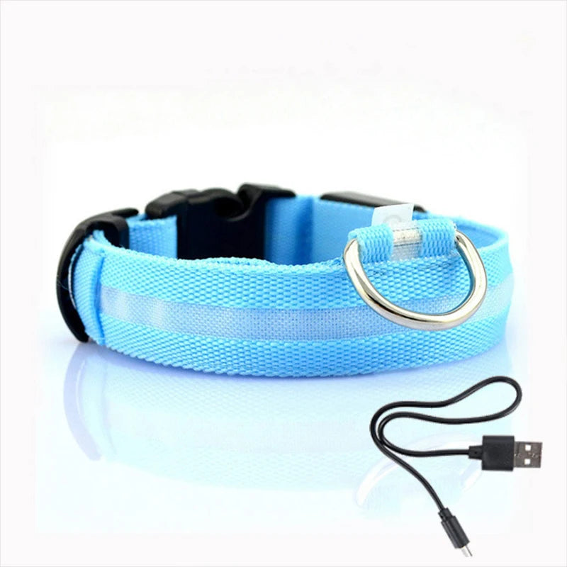 LED Anti-Lost Dog Collar Light – Rechargeable Night Safety Accessory