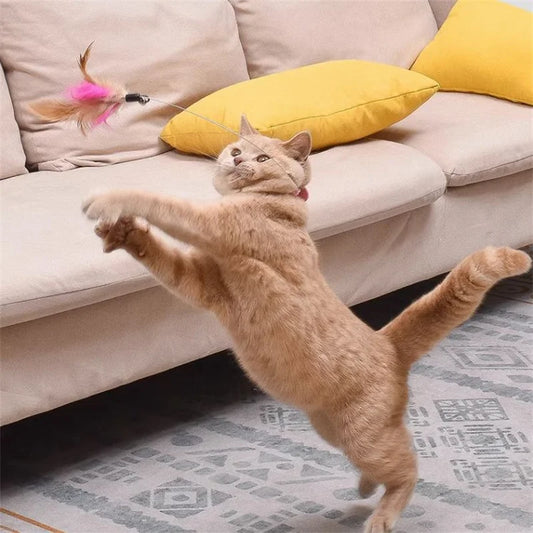 Interactive Feather Teaser Wand with Bell for Cats