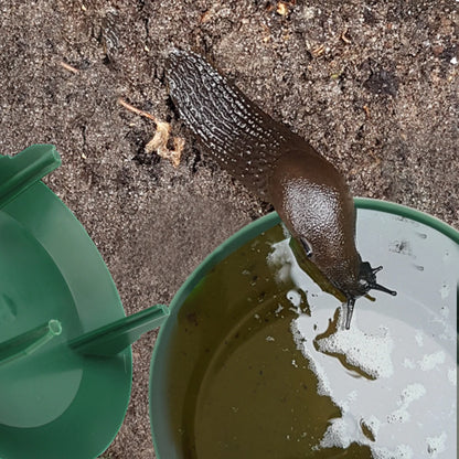 Eco-Friendly Snail and Slug Trap Garden Pest Catcher Cage