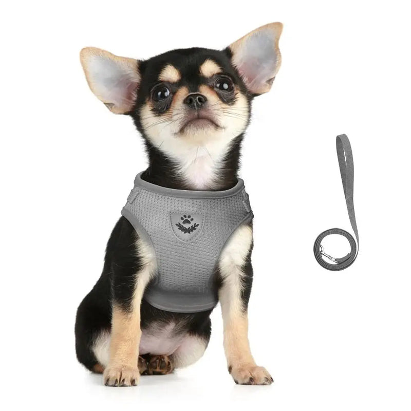 Reflective Escape-Proof Cat & Small Dog Harness Set