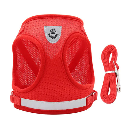 Reflective Escape-Proof Cat & Small Dog Harness Set