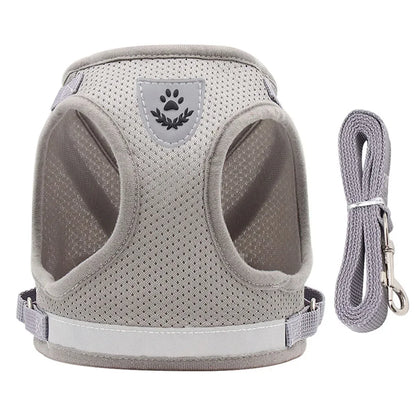 Reflective Escape-Proof Cat & Small Dog Harness Set